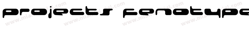 projects fenotype字体转换